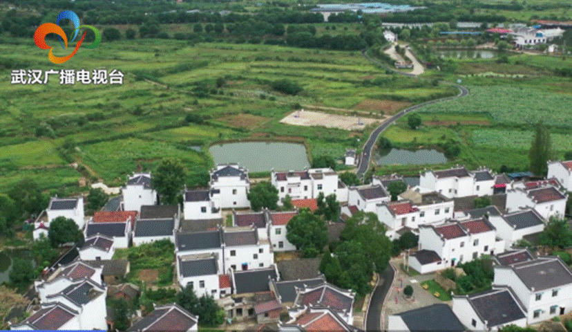彩虹多多官网-追求健康,你我一起成长