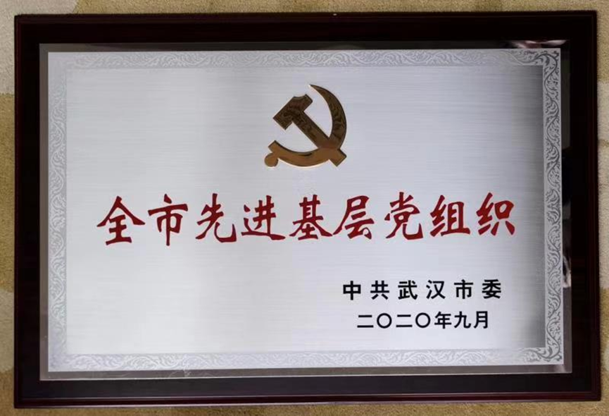 彩虹多多官网-追求健康,你我一起成长