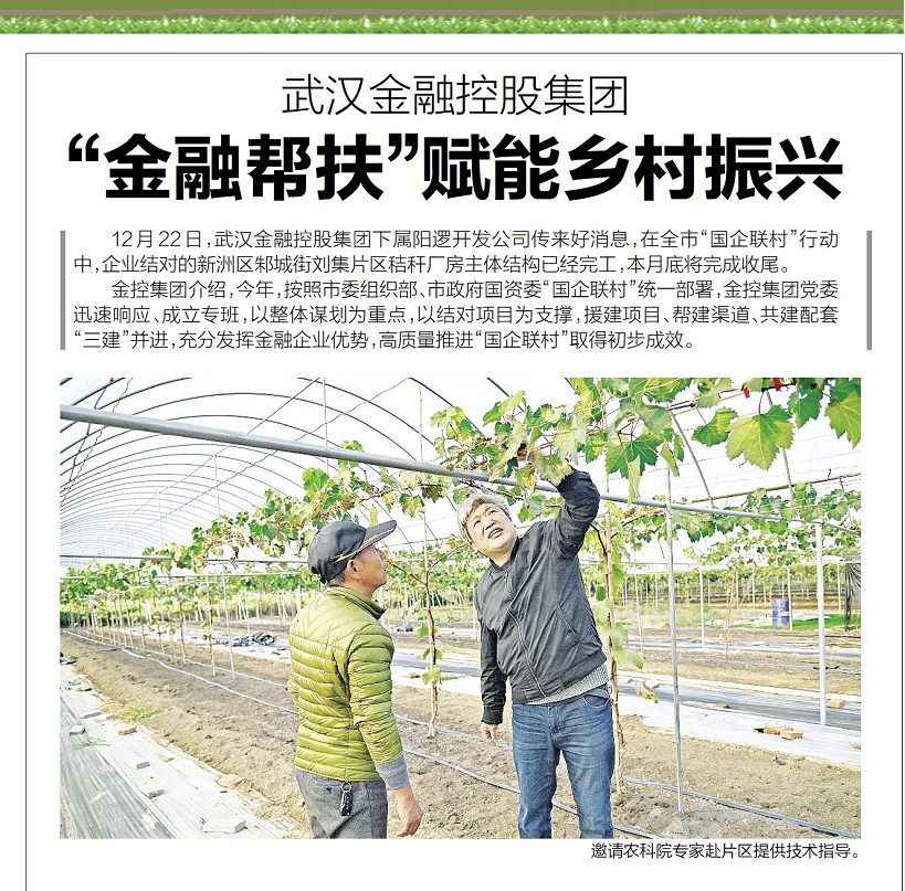 彩虹多多官网-追求健康,你我一起成长