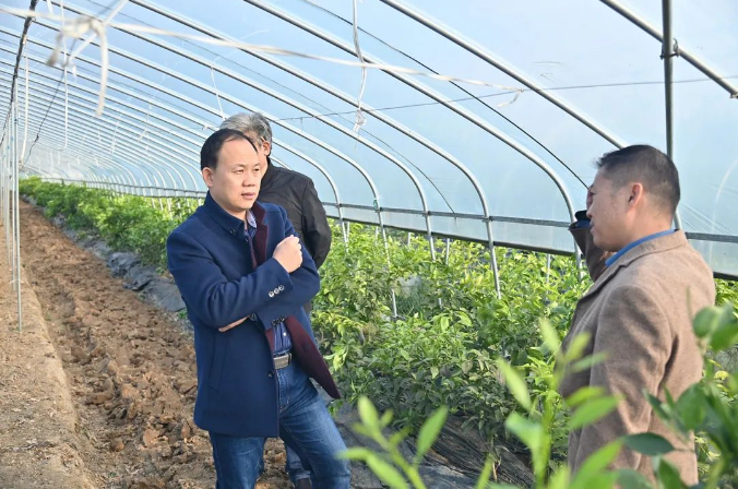 彩虹多多官网-追求健康,你我一起成长