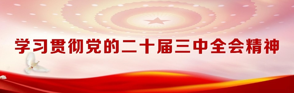 彩虹多多官网-追求健康,你我一起成长